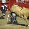 July 4, 2009 - Bull Riding