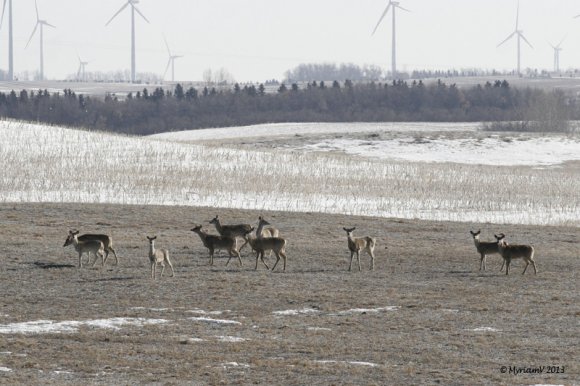 20130401__6909_Cropped