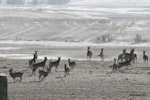 20130401__6889_Zoomed