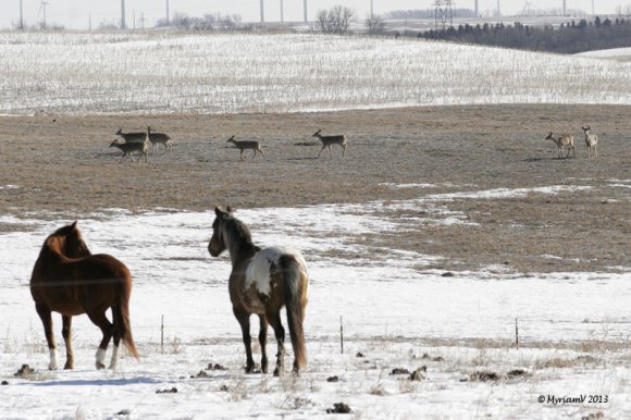 20130401__6913_Cropped