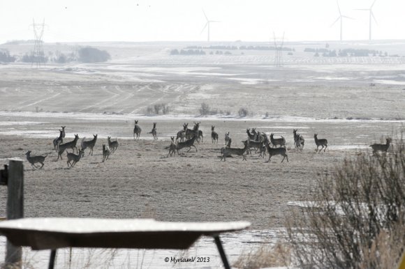 20130401__6889_Cropped