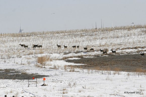 20130401__6914_Cropped