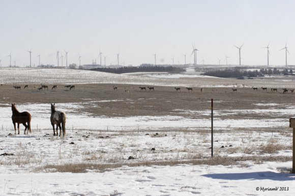 20130401__6907_Cropped